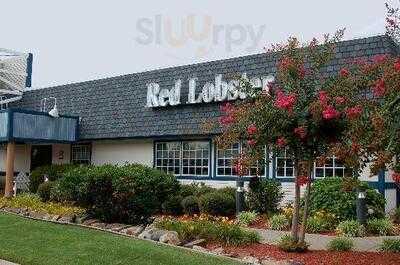 Red Lobster, Florence