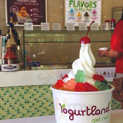 Yogurtland Chino, Chino