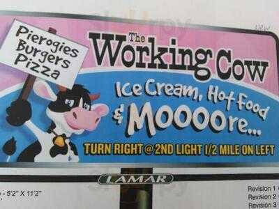 The Working Cow