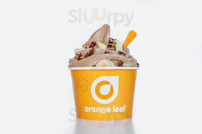 Orange Leaf Frozen Yogurt