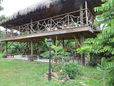Three Sisters Farm, Homestead