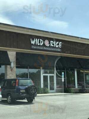 Wild Rice, King of Prussia