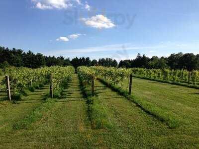 Sarah's Vineyard, Cuyahoga Falls