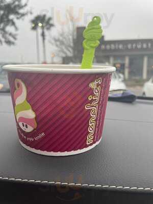 Menchie's Frozen Yogurt, Wesley Chapel