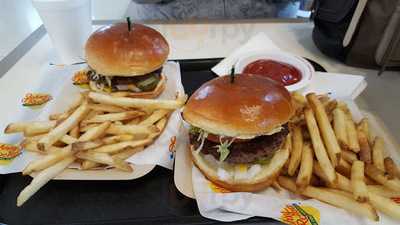 South Philly Cheesesteaks & Fries, Lutz