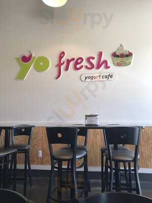 Yo Fresh Yogurt Cafe, Brighton