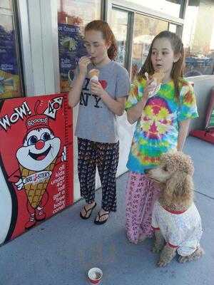 Bruster's Real Ice Cream, Prattville