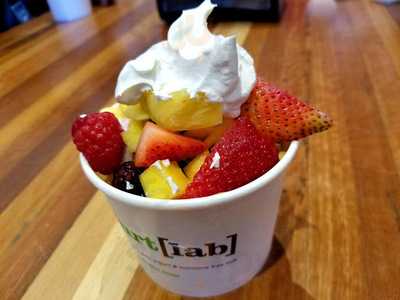 Yogurt Lab