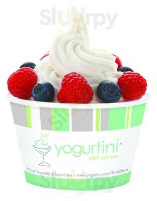 Yogurtini Self-serve, Lone Tree