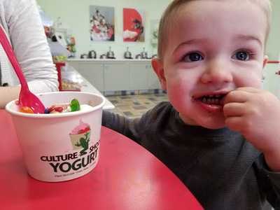 Culture Shock Yogurt, Grass Valley