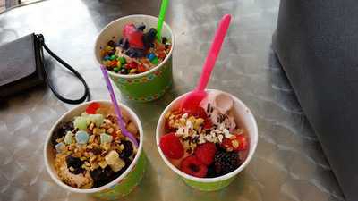 Frozerts Frozen Yogurt