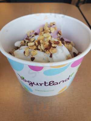 Yogurtland