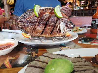 MI Tierra, Bartlett