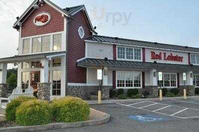 Red Lobster, Bristol