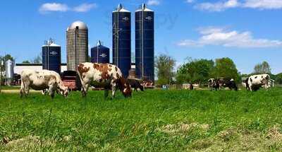 Cowgirl's Creamery At Emerson Farms, Middletown