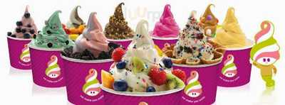 Menchie's Frozen Yogurt, Fenton