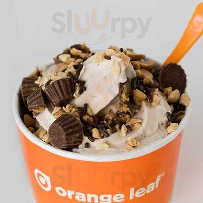 Orange Leaf Holly Springs