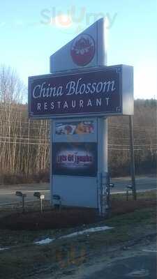 China Blossom, North Andover