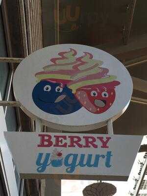 Berry Yougurt, Foxborough