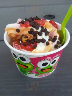 Sweet Frog Premium Frozen Yogurt