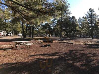 Bear Trax At Circle Pines Koa