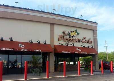 The Blossom Cafe, Norridge