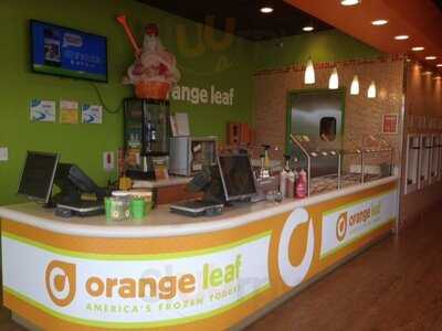 Orange Leaf Frozen Yogurt, Bedford