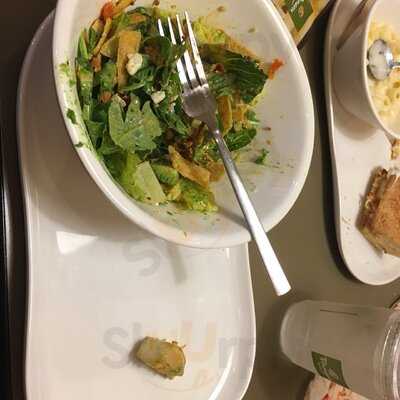 Panera Bread