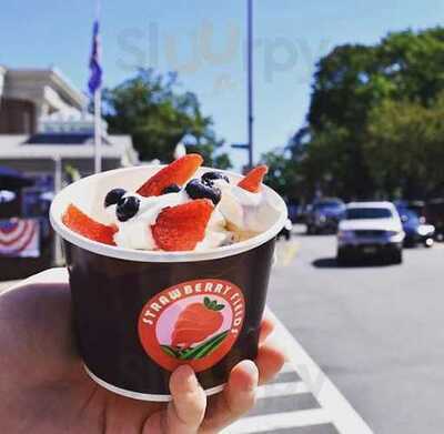 Strawberry Fields Frozen Yogurt, Maplewood