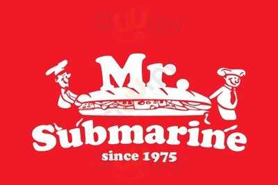 Mr Submarine