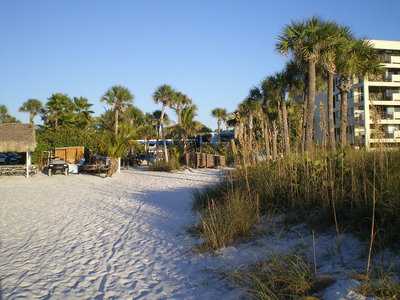 City Pizza Bar & Grill, Siesta Key