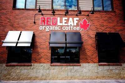 Red Leaf Organic Coffee, Kelso