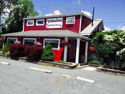 Chianti Cow Restaurant, Port Jervis