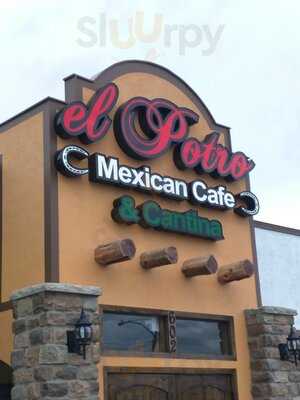 El Potro Mexican Cafe