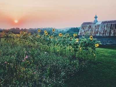 Pine Brook Farm