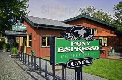 Pony Espresso Coffee House, Jacksonville