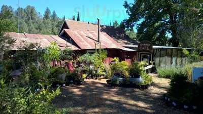 Mountain Sage Cafe, Groveland