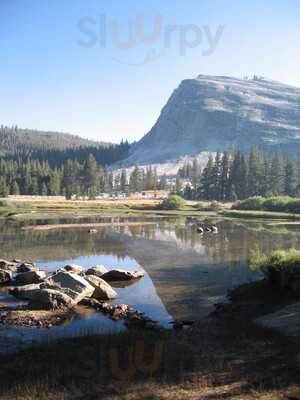 Tuolumne Meadows Lodge Dining