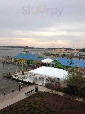 The Jetty Restaurant and Dock Bar