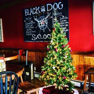 Black Dog Saloon, New Castle