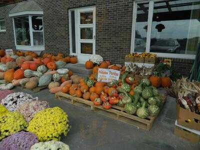 Dutch Bakery & Bulk Food Store menu