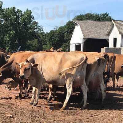 Fish Family Farm Dairy and Ice Cream