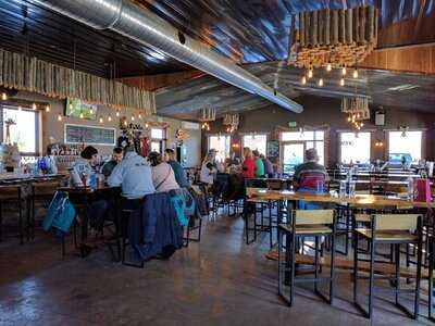 Live Edge Brewing Co.