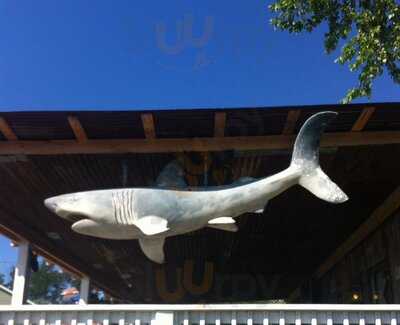 Sharky's Bayside Grill, Leesburg