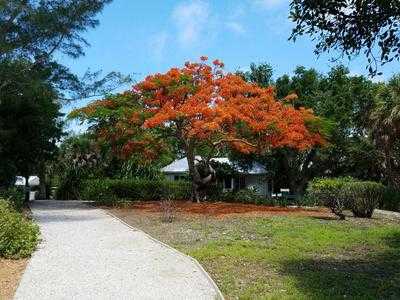 Cabbage Key, Lee