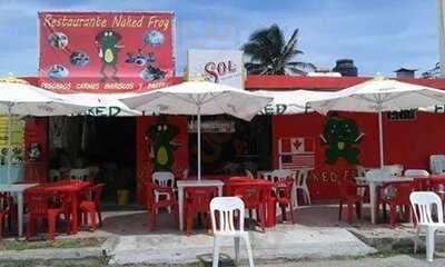 Restaurante Naked frog, Progreso