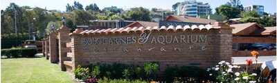 Solo Carnes & Aquarium