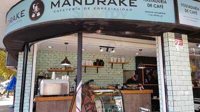 Café Mandrake