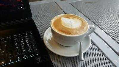 Taste Specialty Coffee