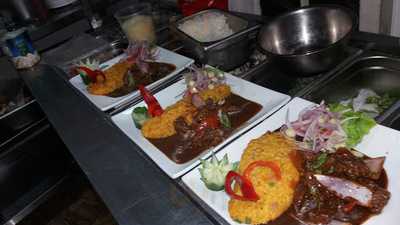 Los Delfines Del Perú